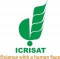 ICRISAT, Government Vacancies For Research Technician – Patancheru, Telangana